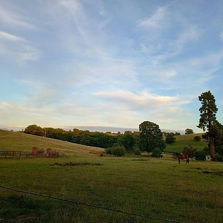 The Stables At Eriviat Hall Henllan  외부 사진
